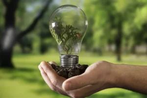 Bloques con íconos de los Objetivos de Desarrollo Sostenible (ODS), una planta y una bombilla, elementos que simbolizan el acompañamiento permanente, la innovación y el soporte continuo de Eco Servicios para programas ambientales y operaciones de largo plazo en Arauca.