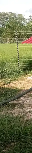Awesome Image